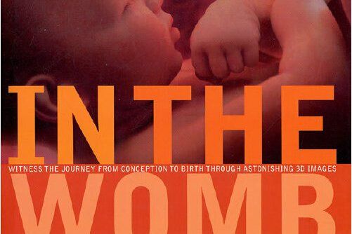 in the womb(2006年Random House US出版的圖書) in the womb(2006年Random House US出版的圖書)