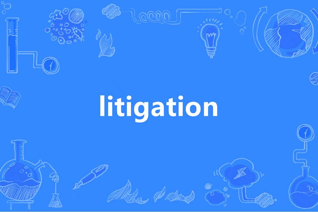 litigation litigation