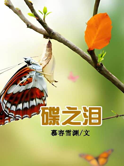 蝶之淚