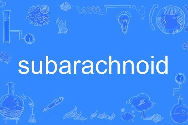 subarachnoid subarachnoid