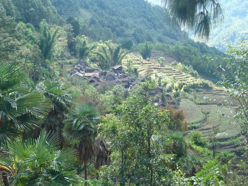 岔河廠村 岔河廠村