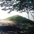 近賢村 近賢村