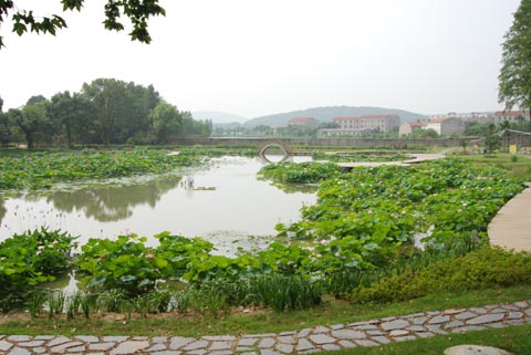 水生植物專類園