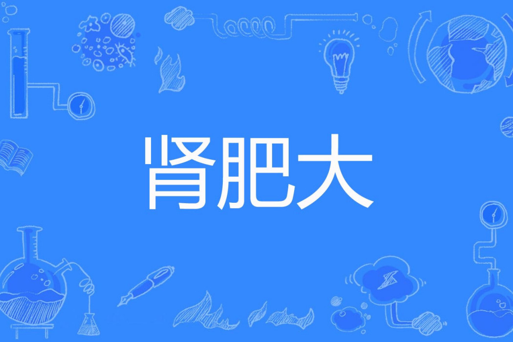 腎肥大