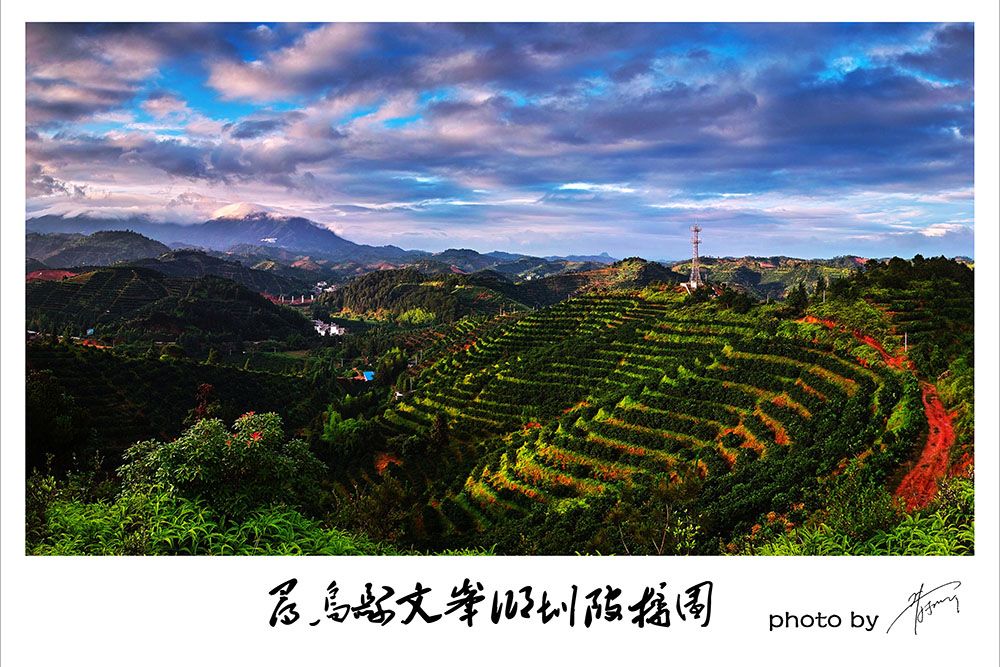 尋烏網