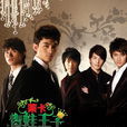 青蛙王子(2007年王碩導演電視劇) 青蛙王子(2007年王碩導演電視劇)
