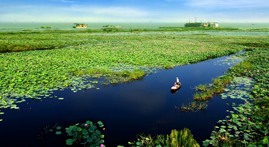 洪湖(湖北洪湖)