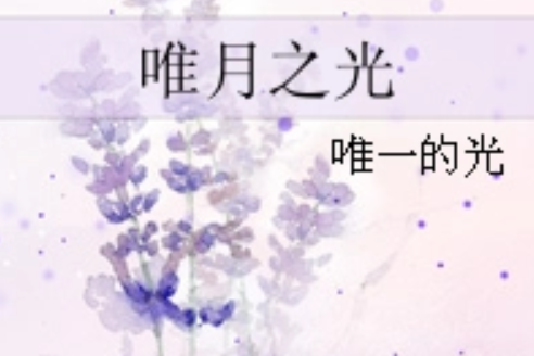 唯月之光 唯月之光