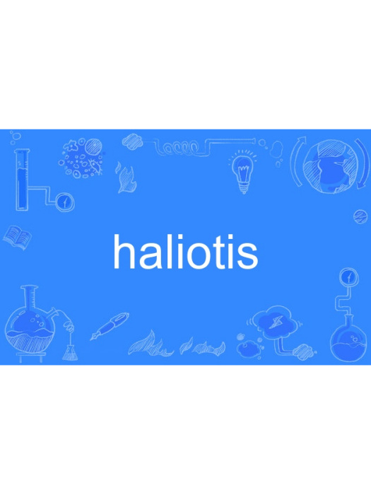 haliotis haliotis