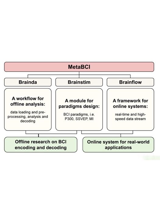 MetaBCI MetaBCI
