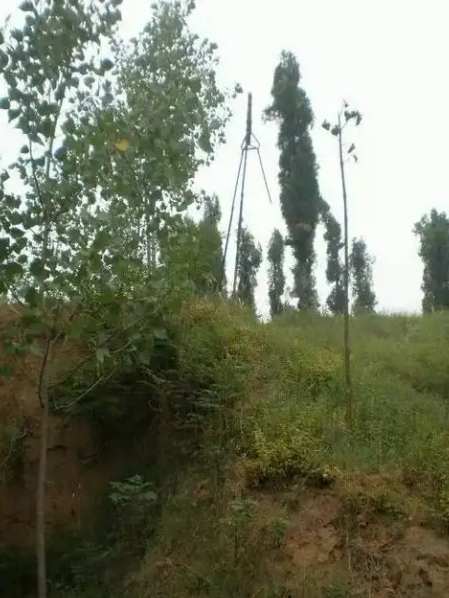 柏崗遺址 柏崗遺址