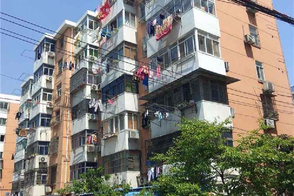 葉校路503號 葉校路503號