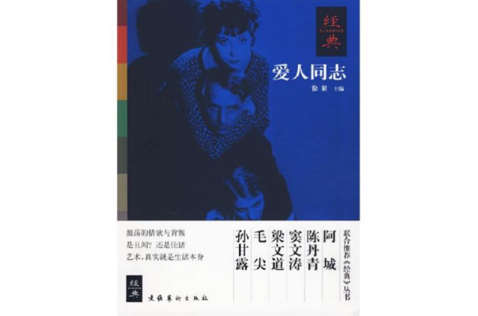 愛人同志(2009年出版的書籍)