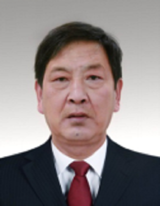 劉元坤(安徽省宿州市泗縣大楊鎮黨委書記) 劉元坤(安徽省宿州市泗縣大楊鎮黨委書記)