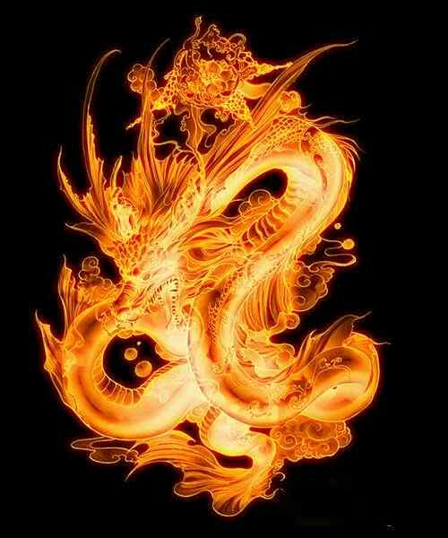九天龍劫 九天龍劫