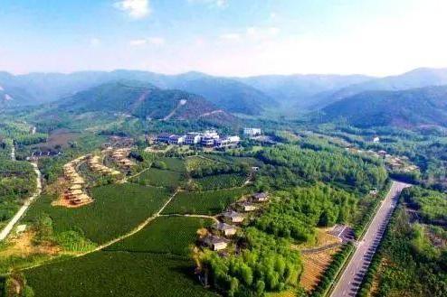 徽州莊村 徽州莊村