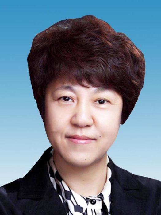 馬莉(中央和國家機關工委民眾工作部副部長) 馬莉(中央和國家機關工委民眾工作部副部長)