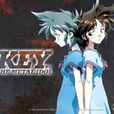 非常偶像KEY 非常偶像KEY