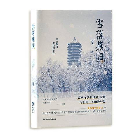 雪落燕園 雪落燕園
