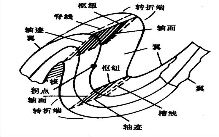 褶皺要素