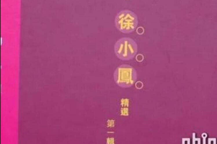 偶像(徐小鳳《徐小鳳金曲精選》專輯中的歌曲) 偶像(徐小鳳《徐小鳳金曲精選》專輯中的歌曲)