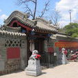 老灘村(遼寧興城市曹莊鎮下轄村) 老灘村(遼寧興城市曹莊鎮下轄村)
