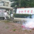 合肥市侯店國小 合肥市侯店國小