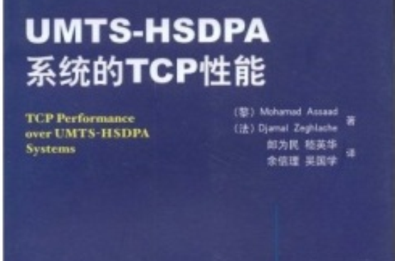 UMTS-HSDPA系統的TCP性能
