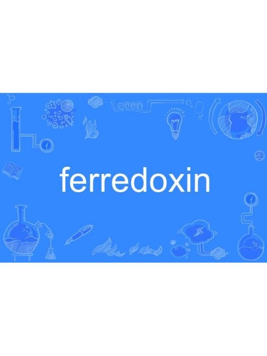 ferredoxin ferredoxin