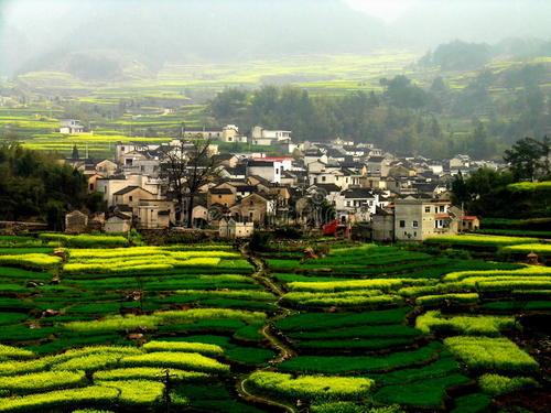 崇光村 崇光村