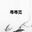 尋尋覓 尋尋覓