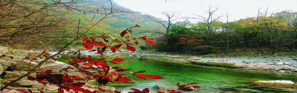 麥積國家森林公園