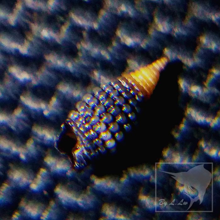珠肋三口螺