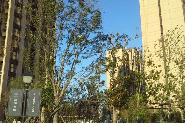 意境蘭庭 意境蘭庭