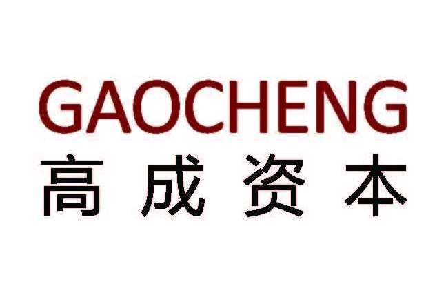 高成資本 高成資本