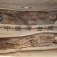 崗嘎遺址 崗嘎遺址