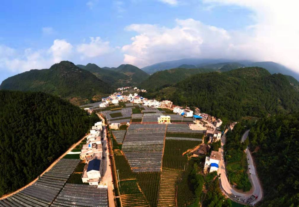 西溪壩村 西溪壩村