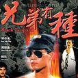 兄弟有種