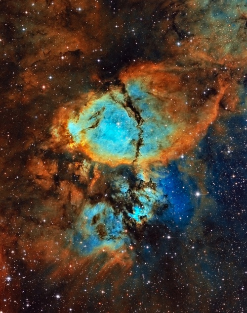 IC 1795 魚頭星雲
