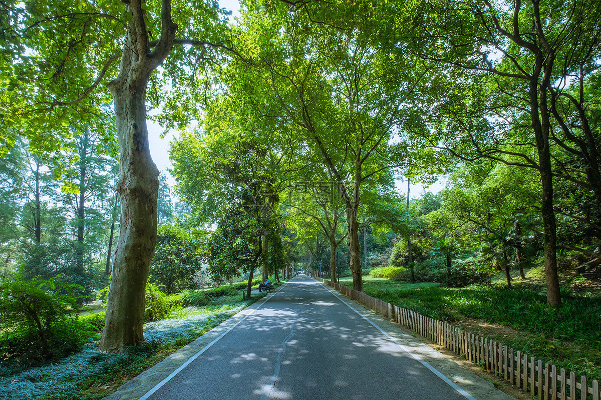 武汉的东湖 世界的绿道_行走·探索与发现湖北之美_腾讯·大楚网