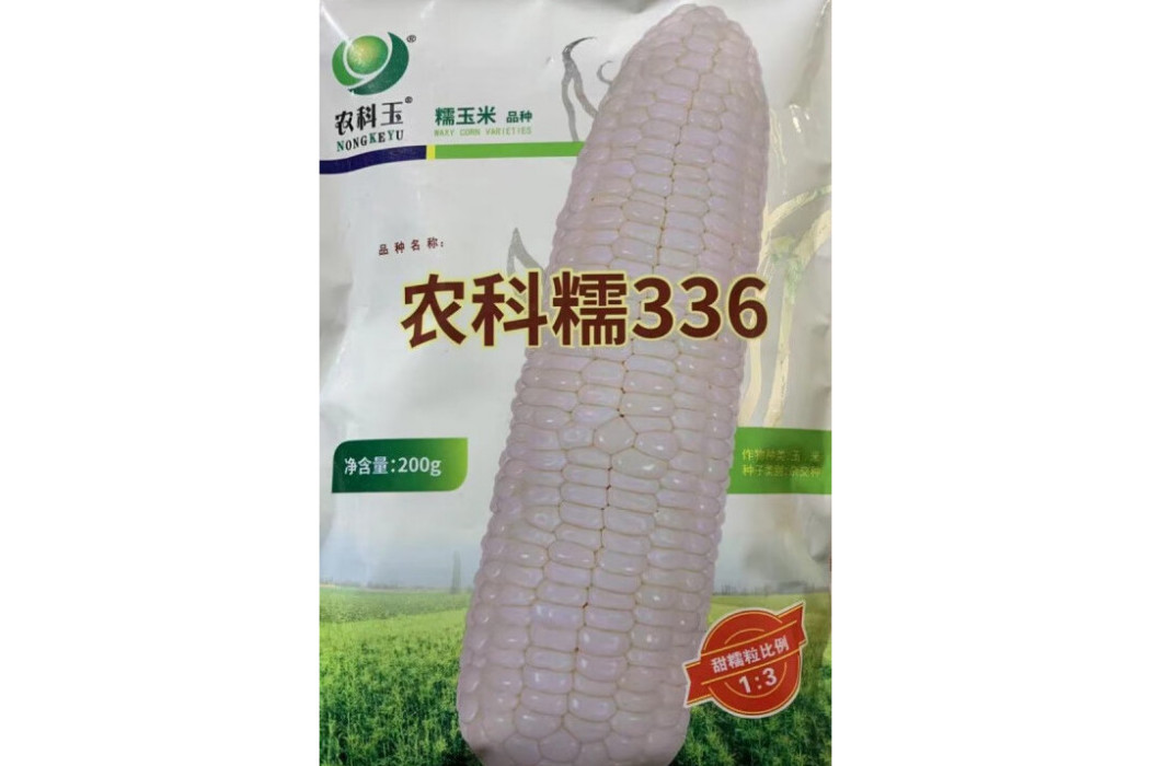農科糯336 農科糯336