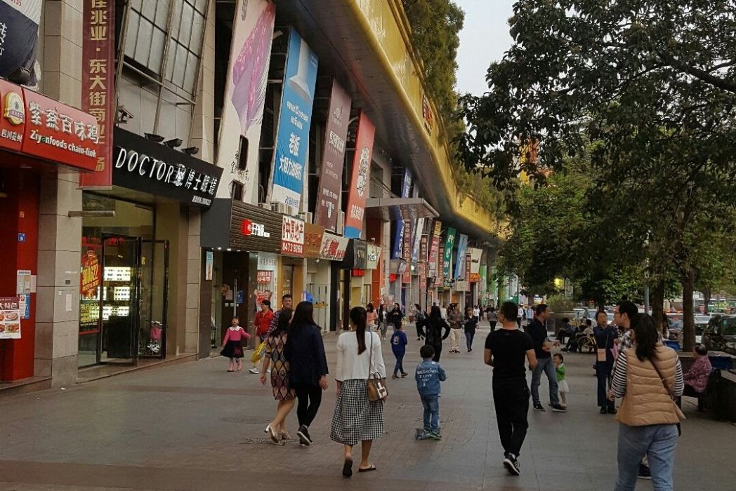 龍崗大街 龍崗大街