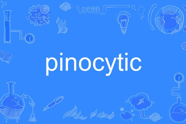 pinocytic pinocytic