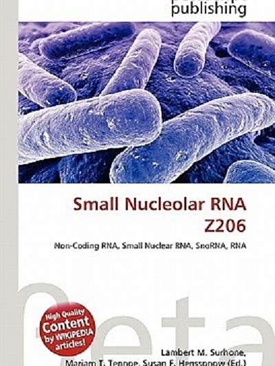 Small Nucleolar RNA Z206 Small Nucleolar RNA Z206