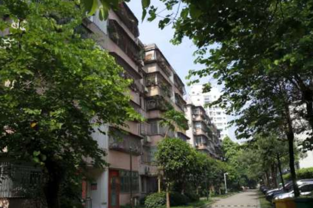 新園中區 新園中區