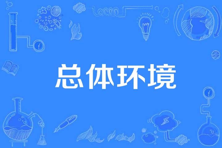 總體環境 總體環境