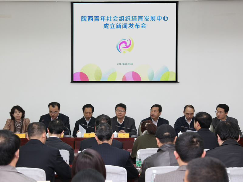 陝西青年社會組織培育發展中心