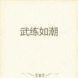 武練如潮 武練如潮