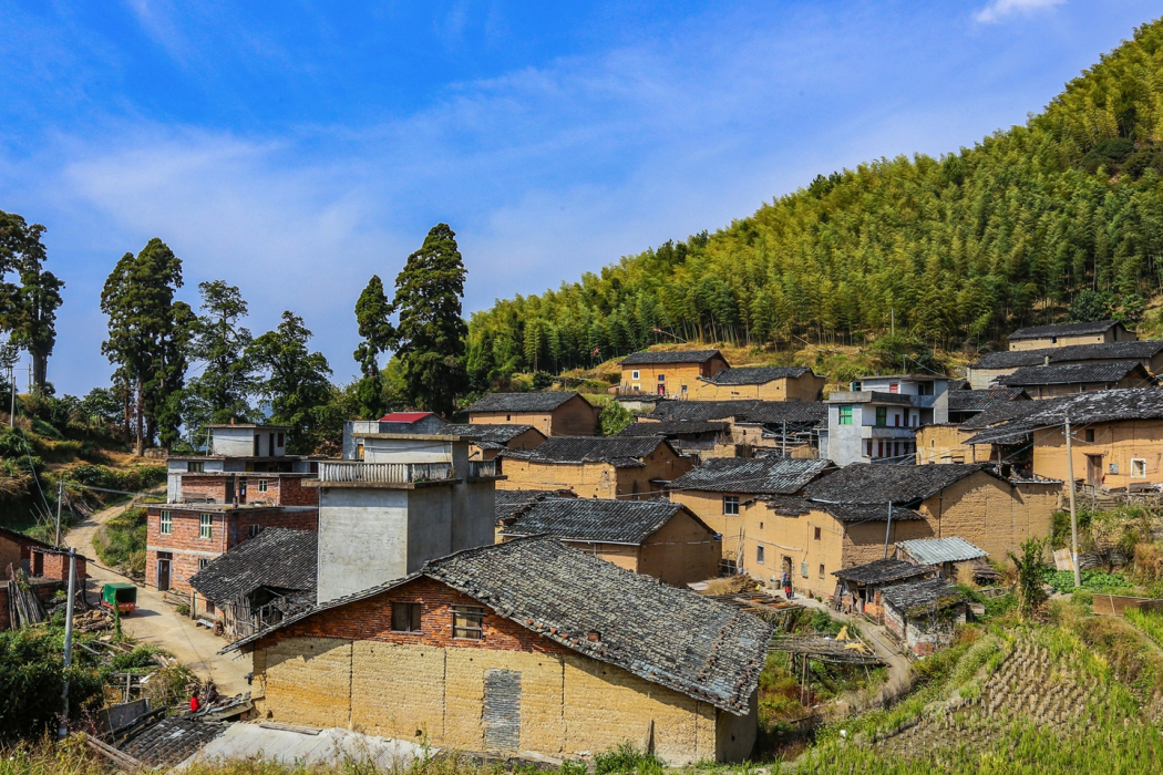 洋屯村 洋屯村