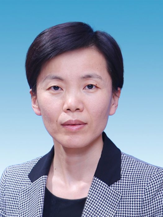 張莉(山東省泰安市肥城市委書記、山東省第十二次代表大會代表)